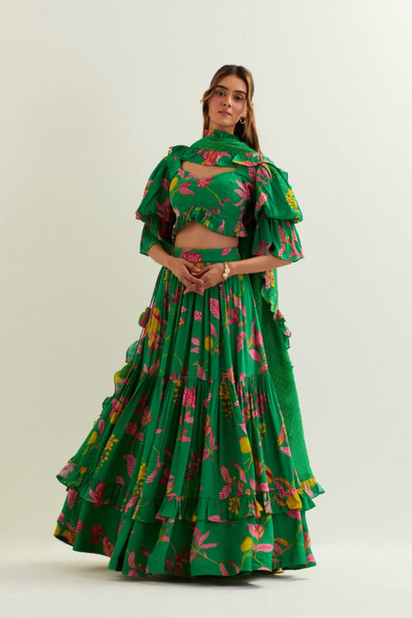 Fit and flare lehenga set EBN33