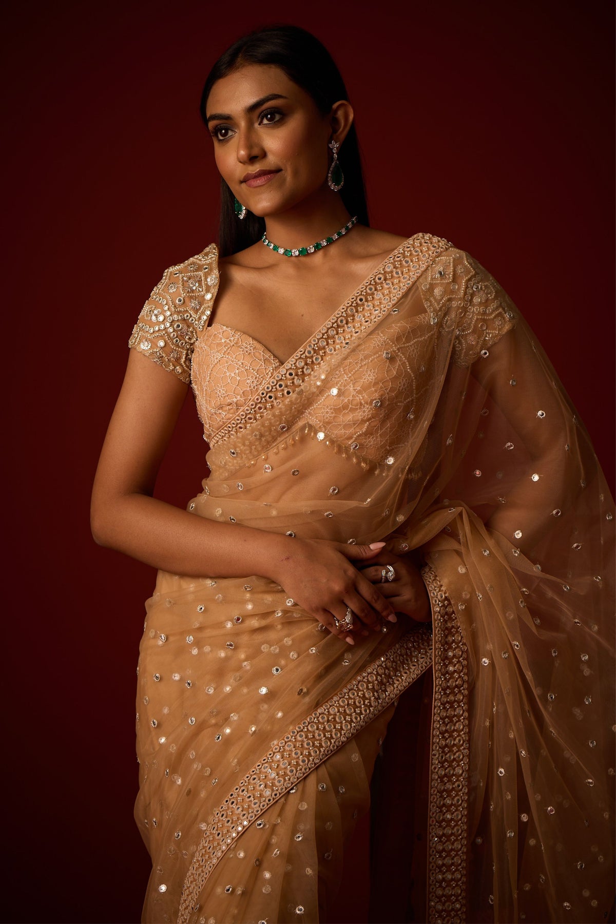 Golden Embellished Saree