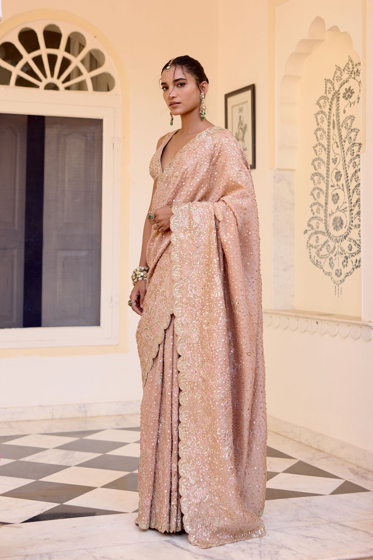 Caramel Taupe Tissue Saree Set