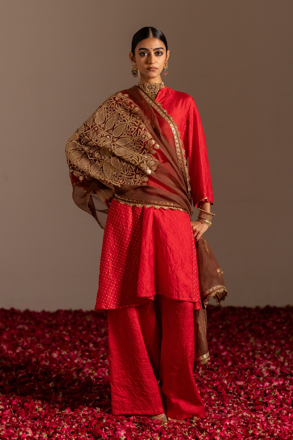 Embroidered Organza Dupatta