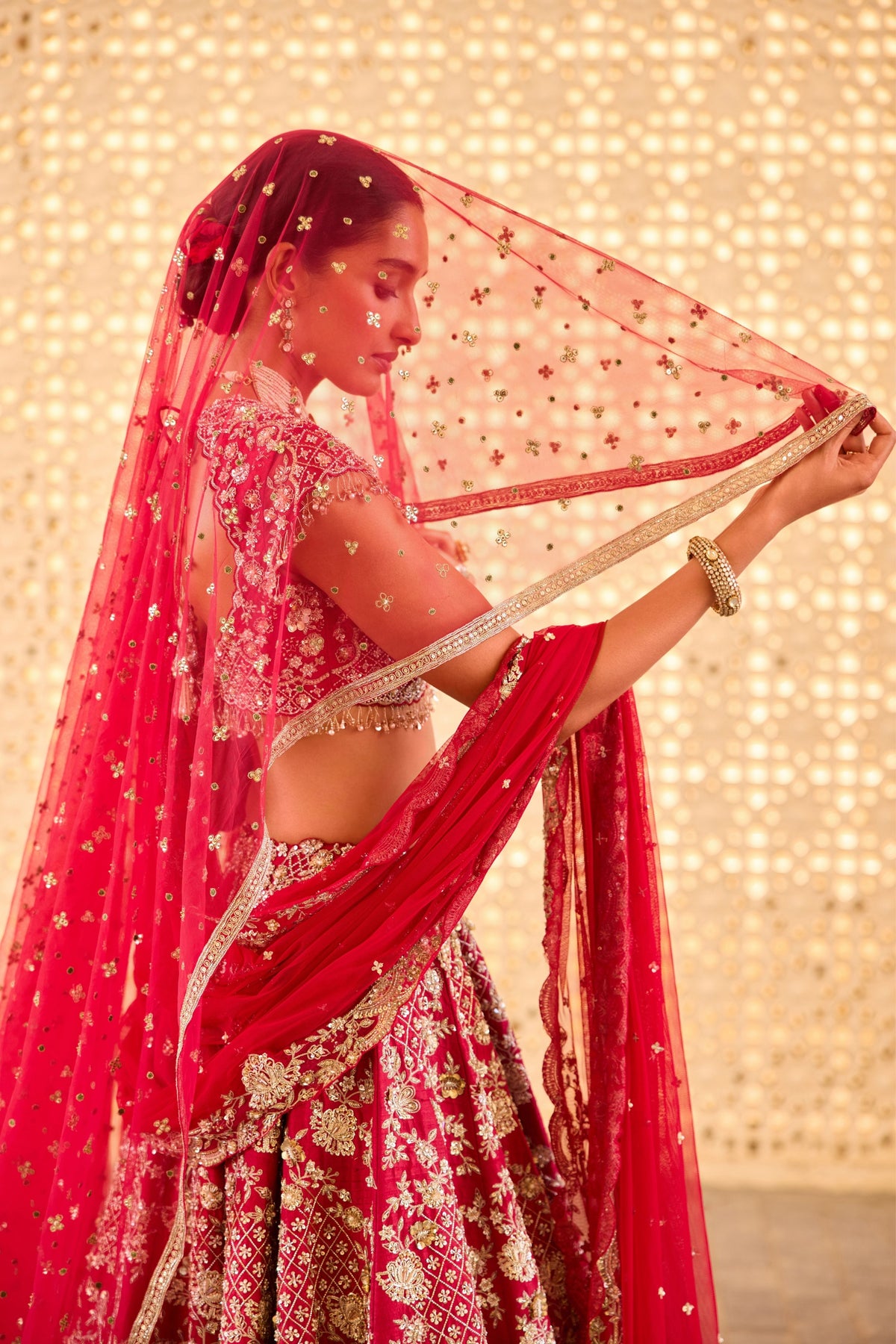 Beloved Lehenga Set