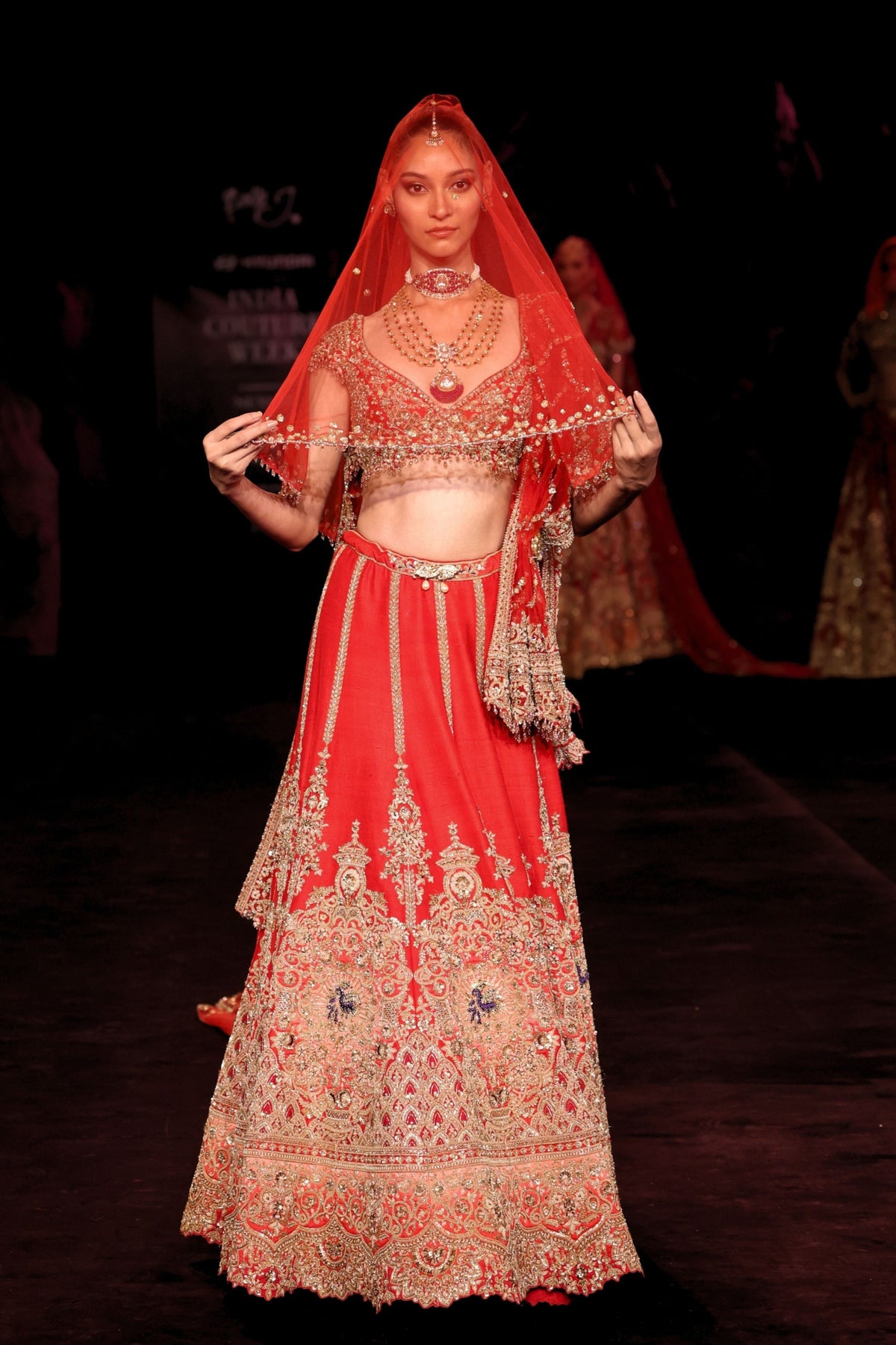Rajshri Lehenga Set