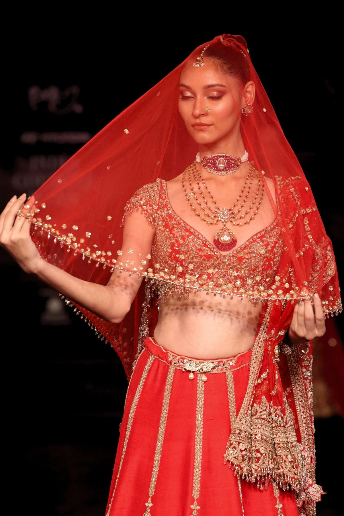 Rajshri Lehenga Set