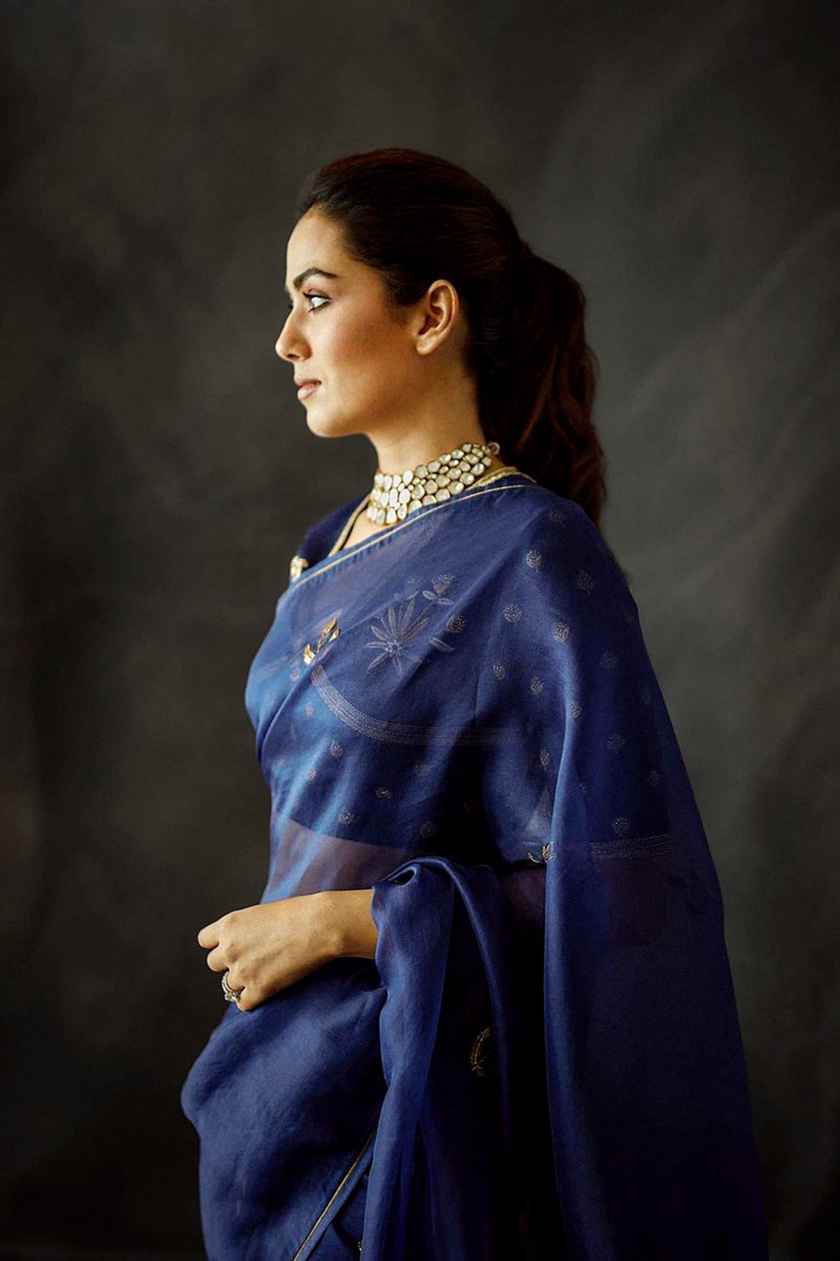 Purvai Indigo Saree