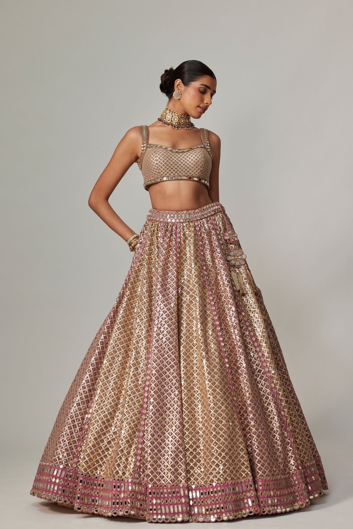 Deep Beige Multicolor Lehenga Set