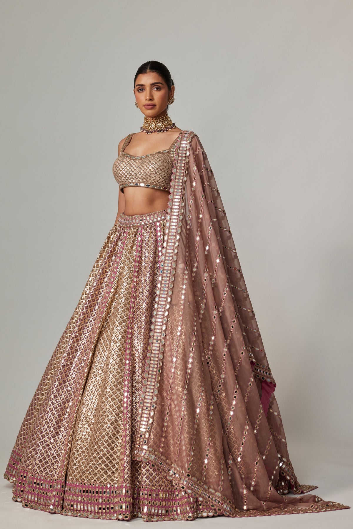 Deep Beige Multicolor Lehenga Set
