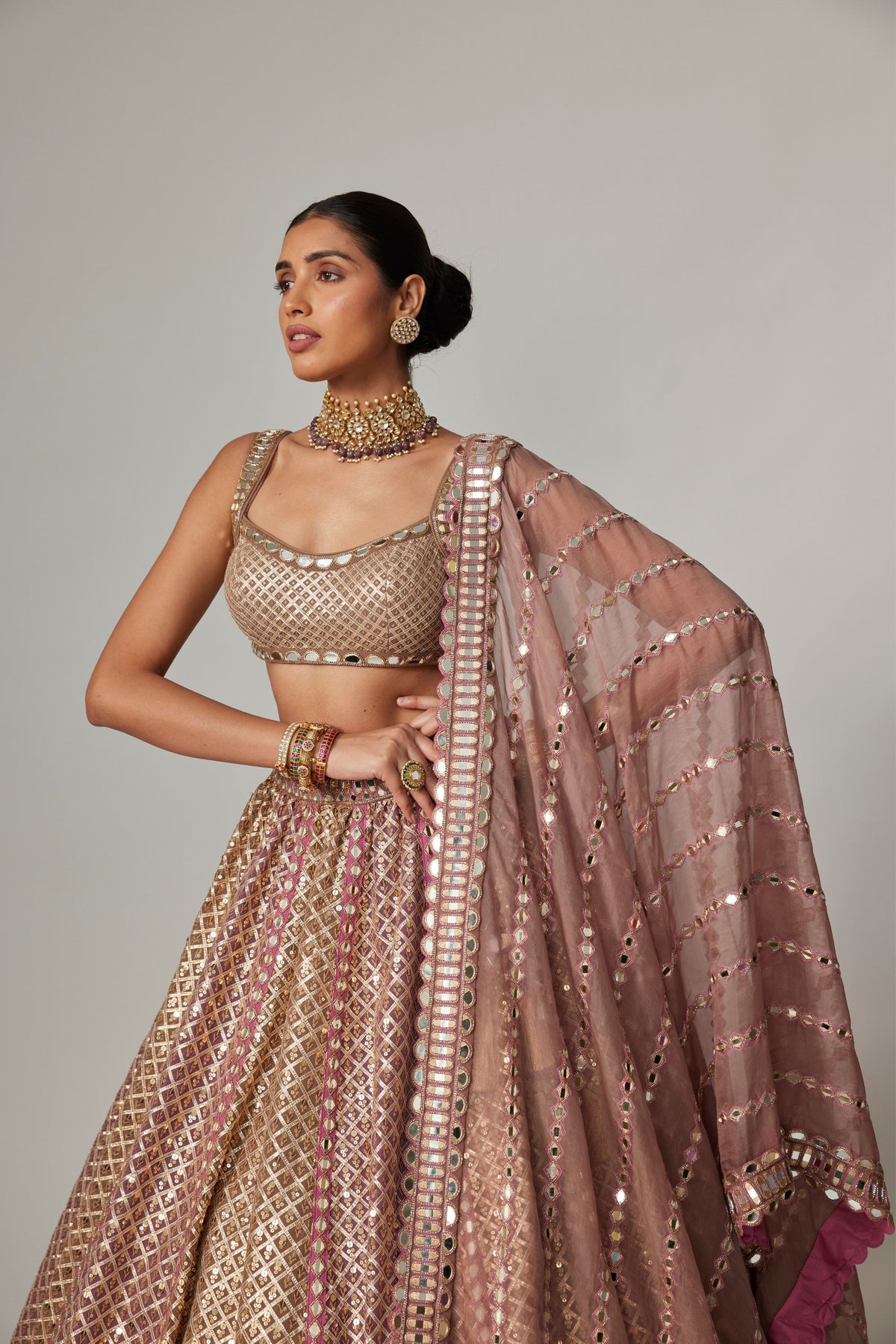 Deep Beige Multicolor Lehenga Set