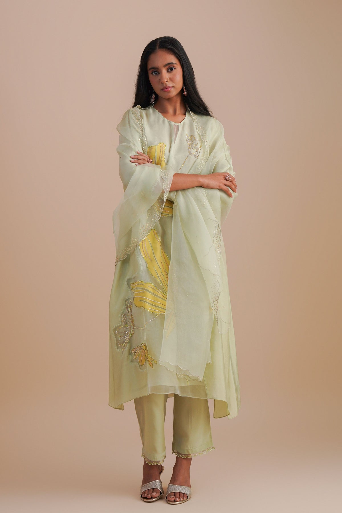 Mist Organza Dupatta