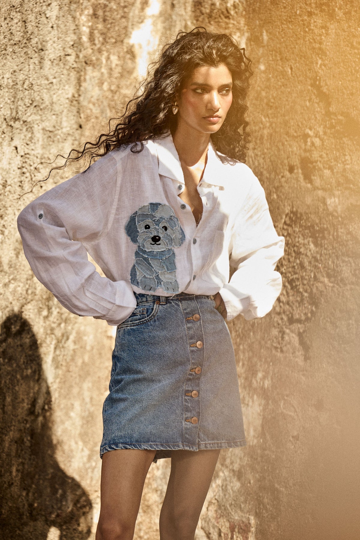 Denim Dog Shirt