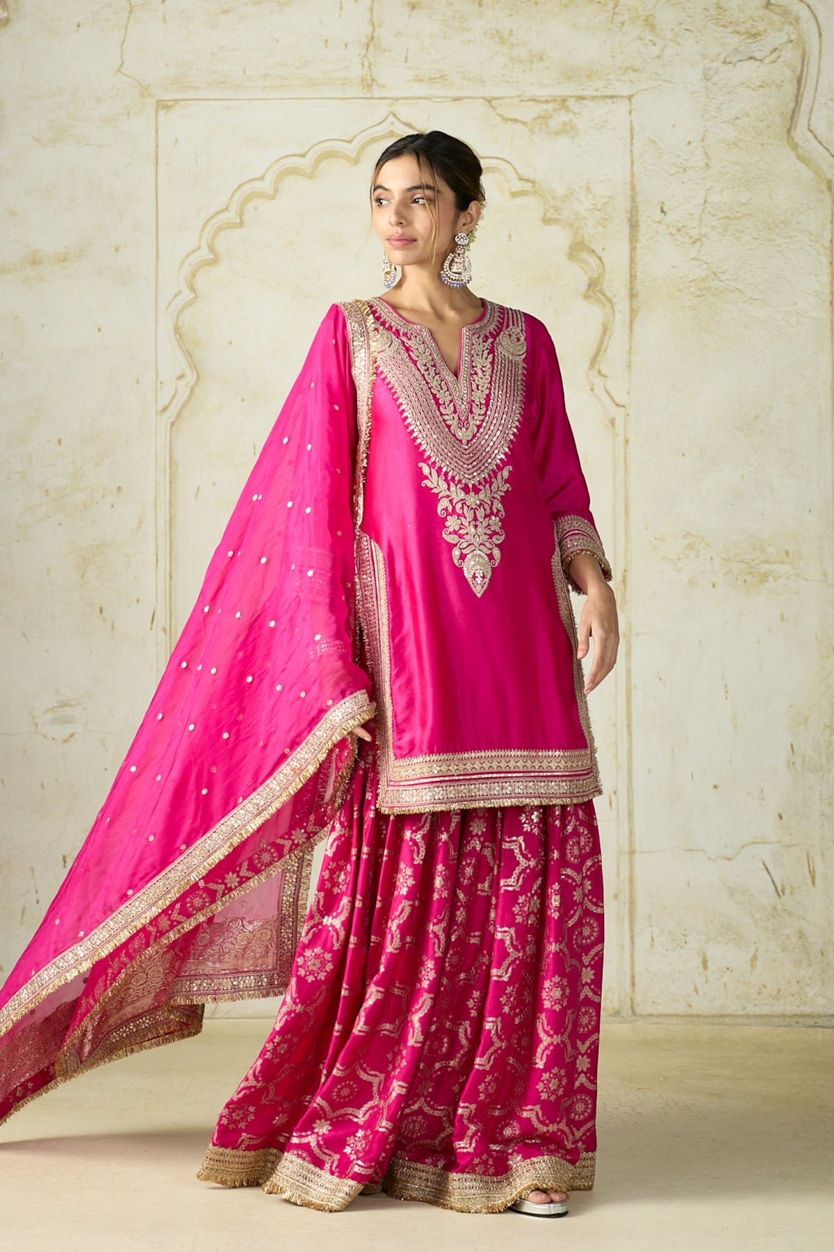 Rani Ameena Sharara Set
