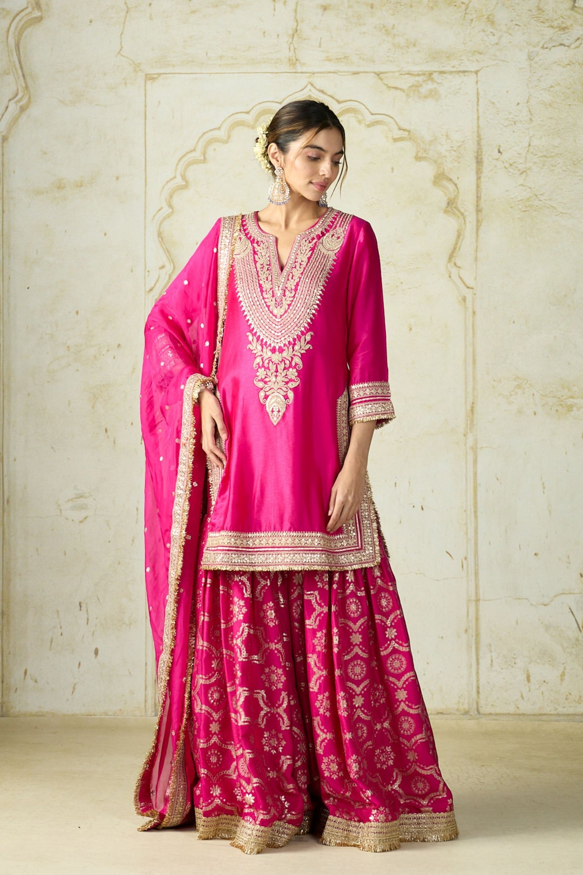 Rani Ameena Sharara Set