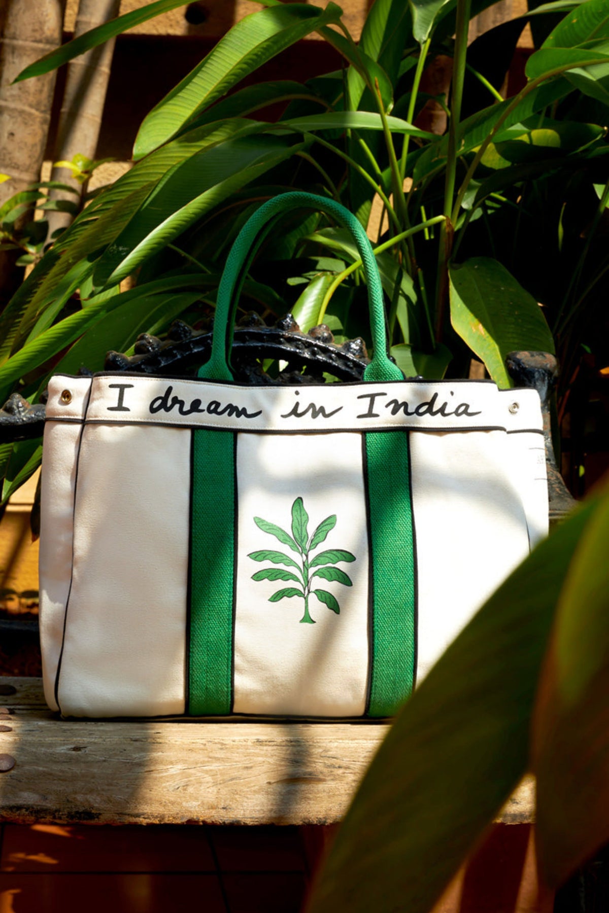 The Ali in Bag in Black &amp; Green Bag