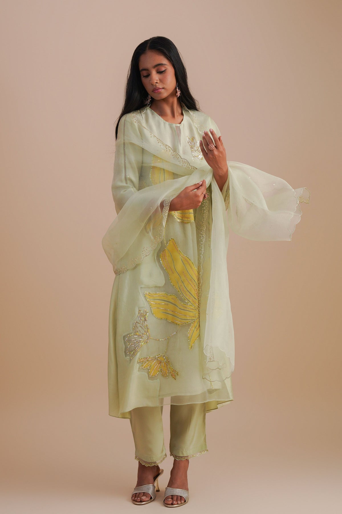 Mist Organza Dupatta