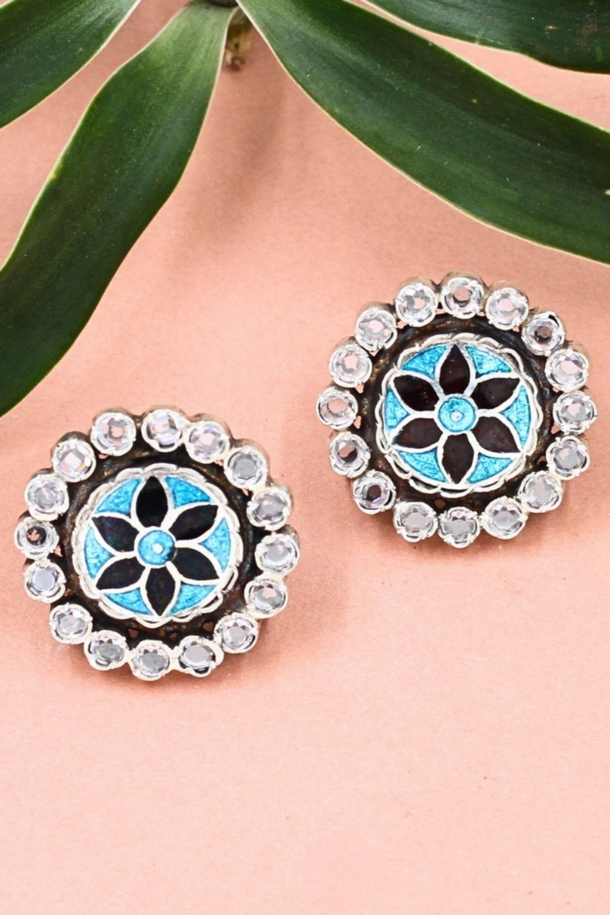 Elegant Multicolour Silver Earrings