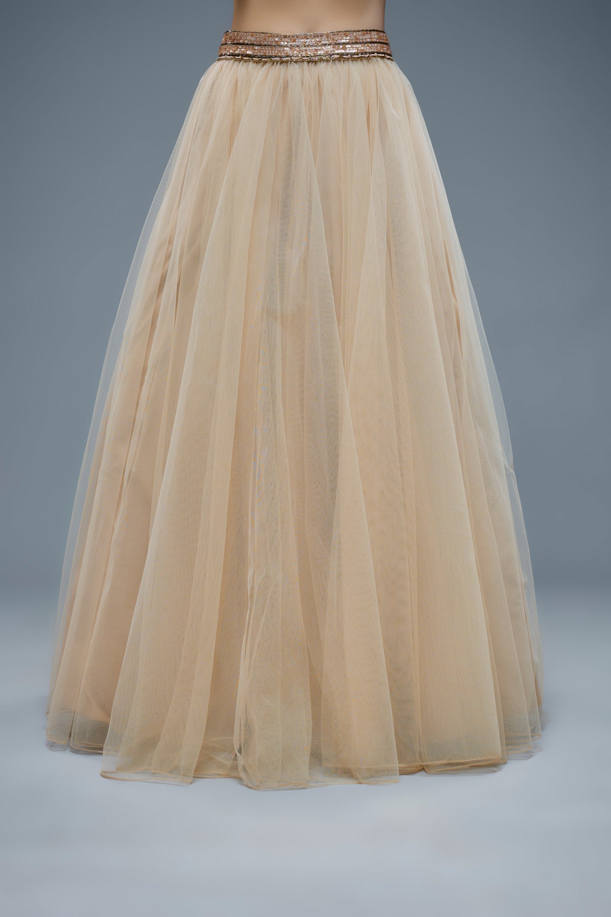 Beige Net Lehenga Set