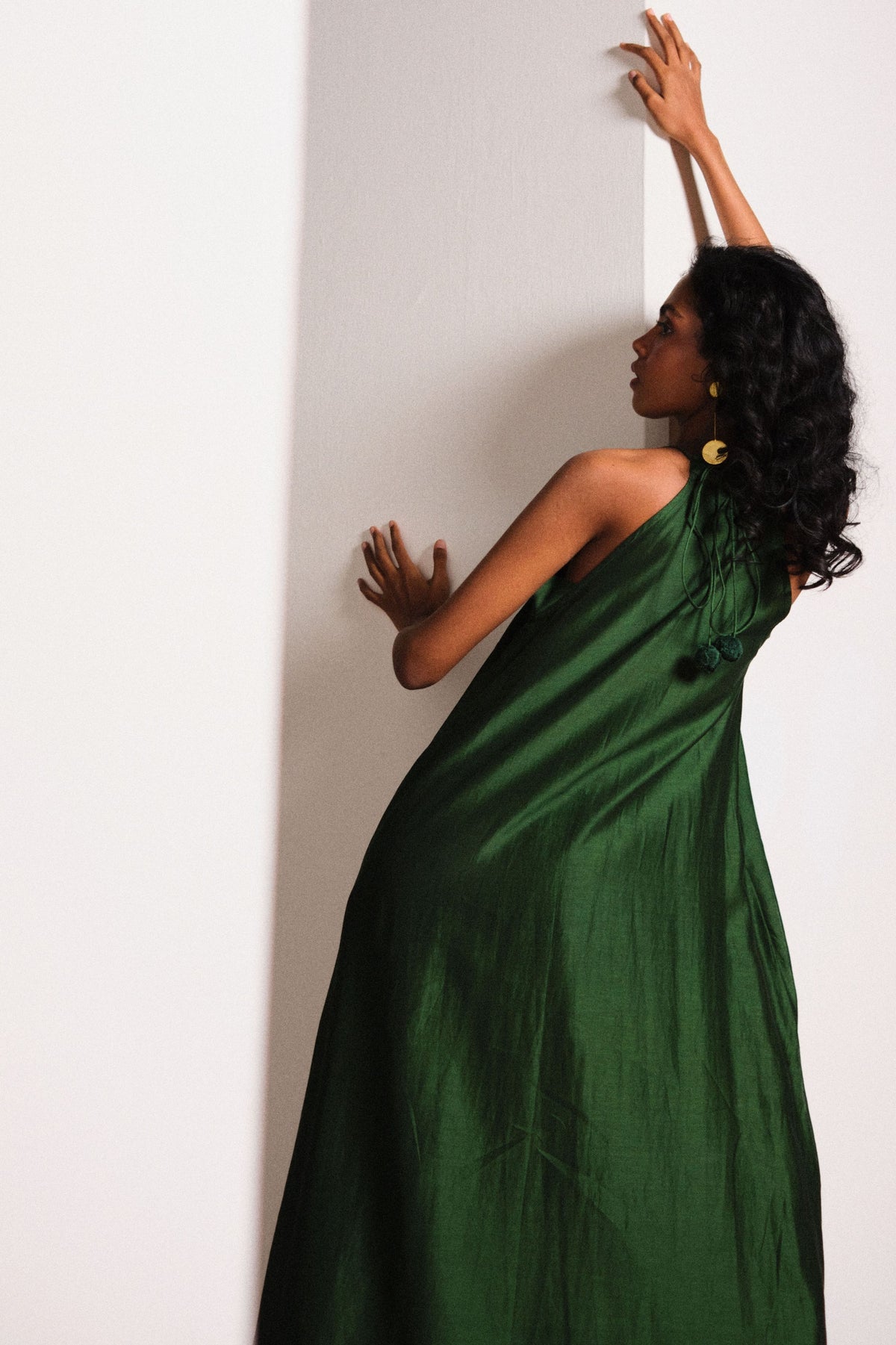 Vriksh Silk Dress