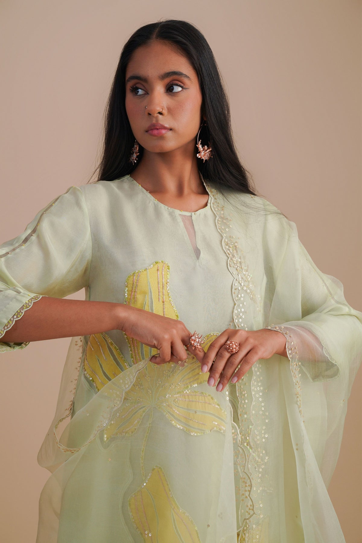 Mist Organza Dupatta