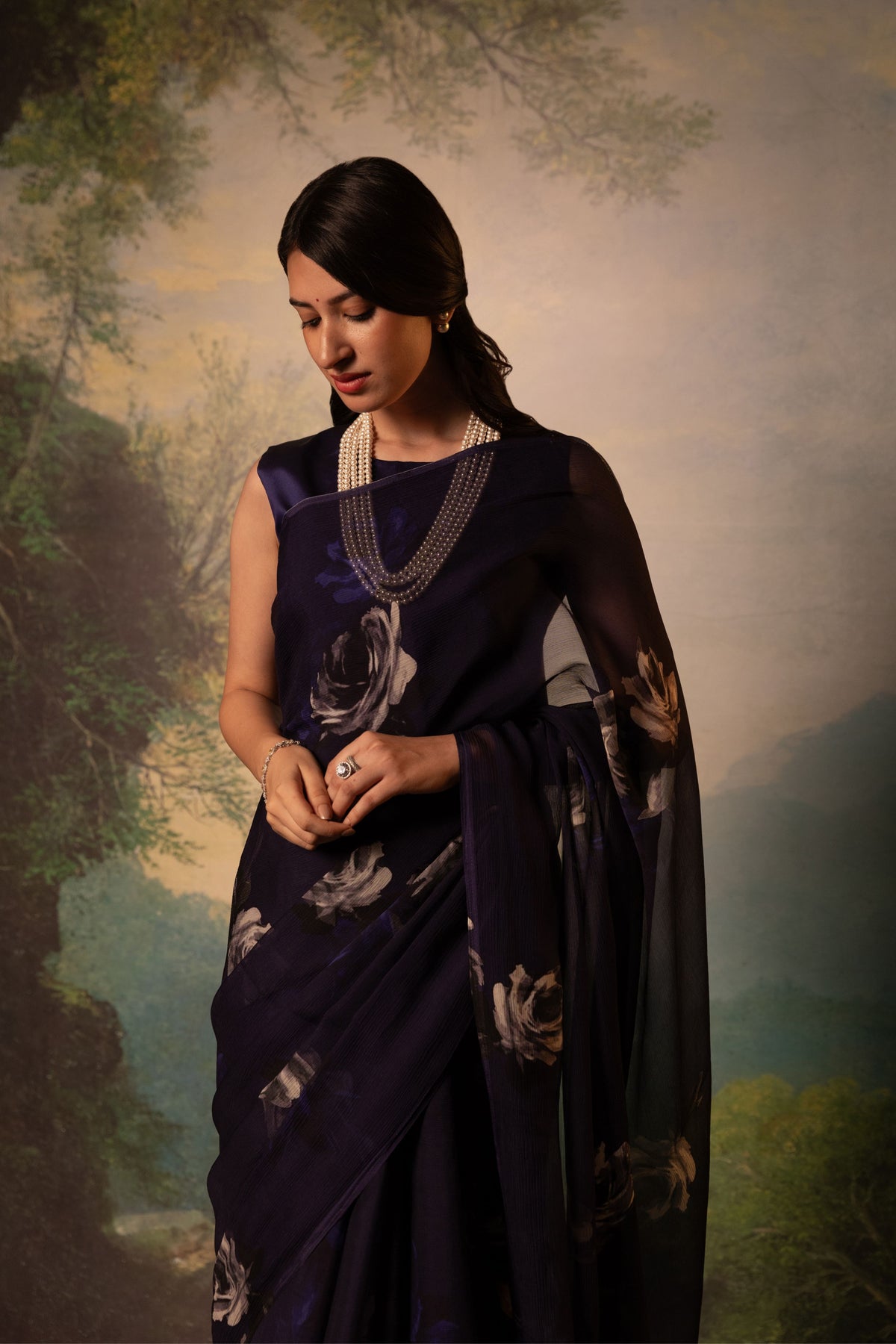 Regime Printed French Chiffon Saree