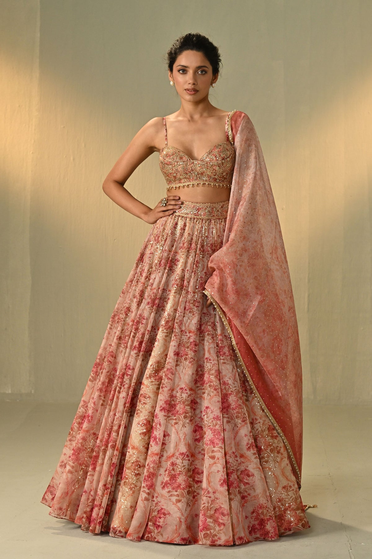 Blush Afterglow Lehenga Set