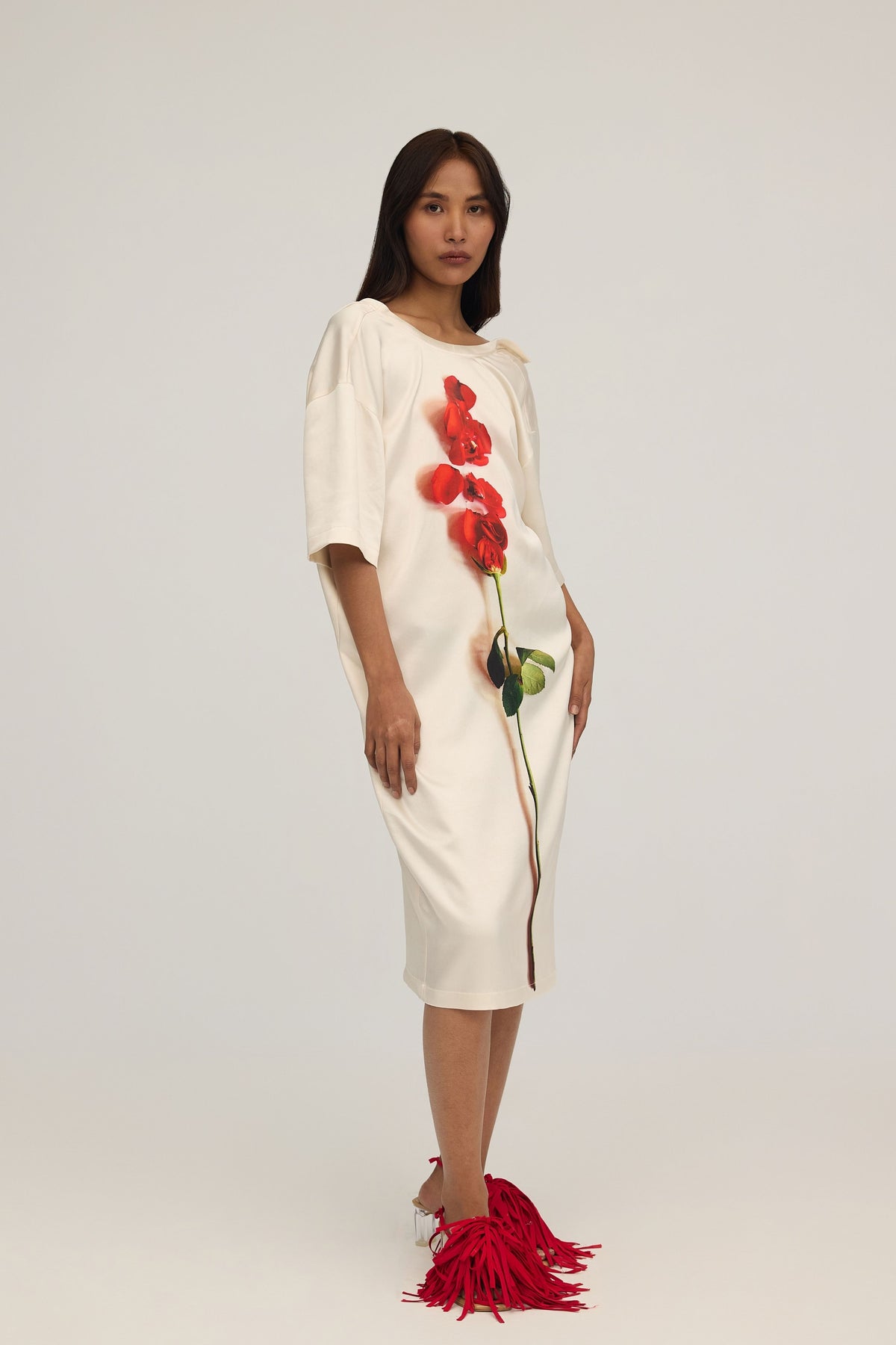 Jeanne Shirt Dress