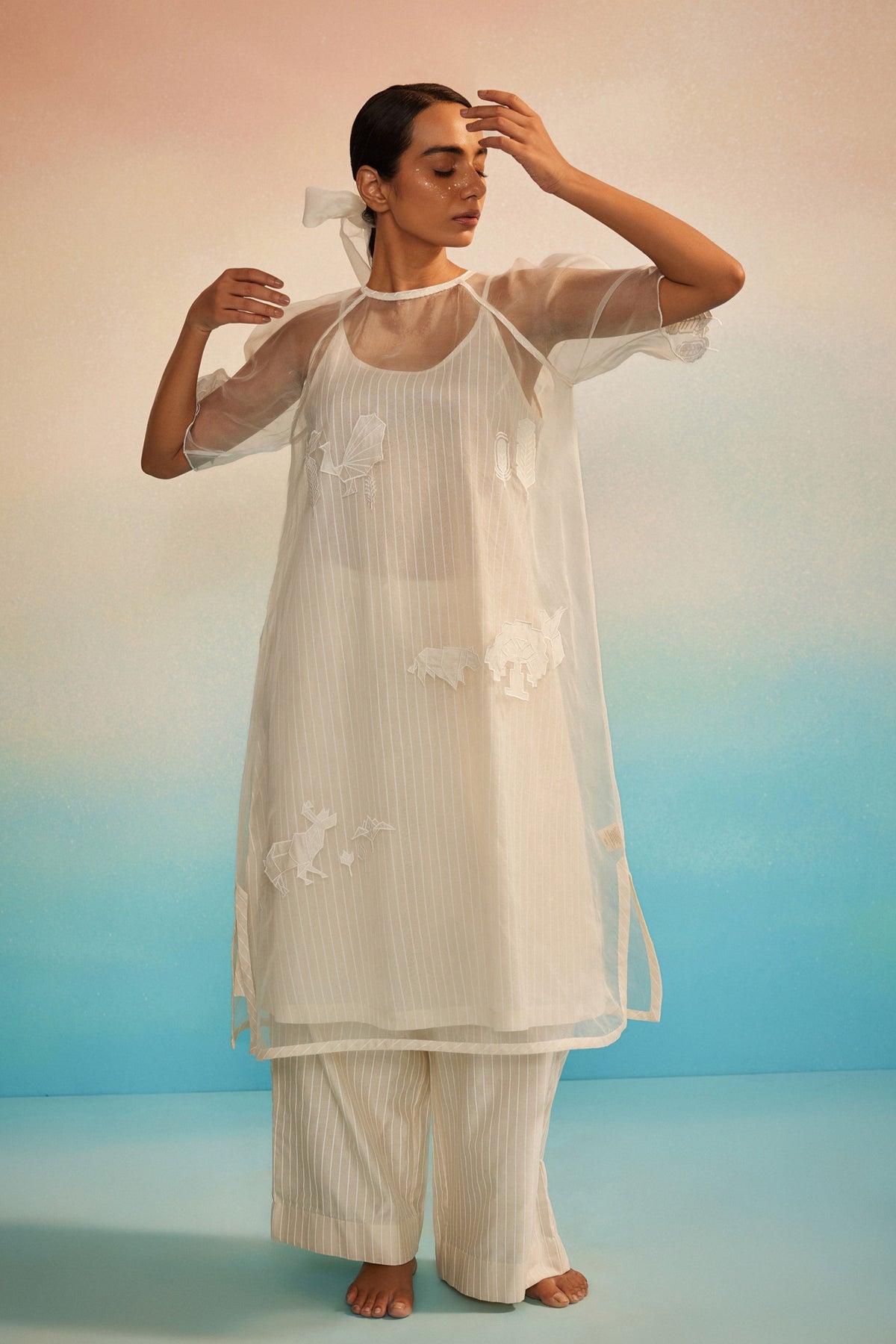 Yuugen Organza Kurta Set