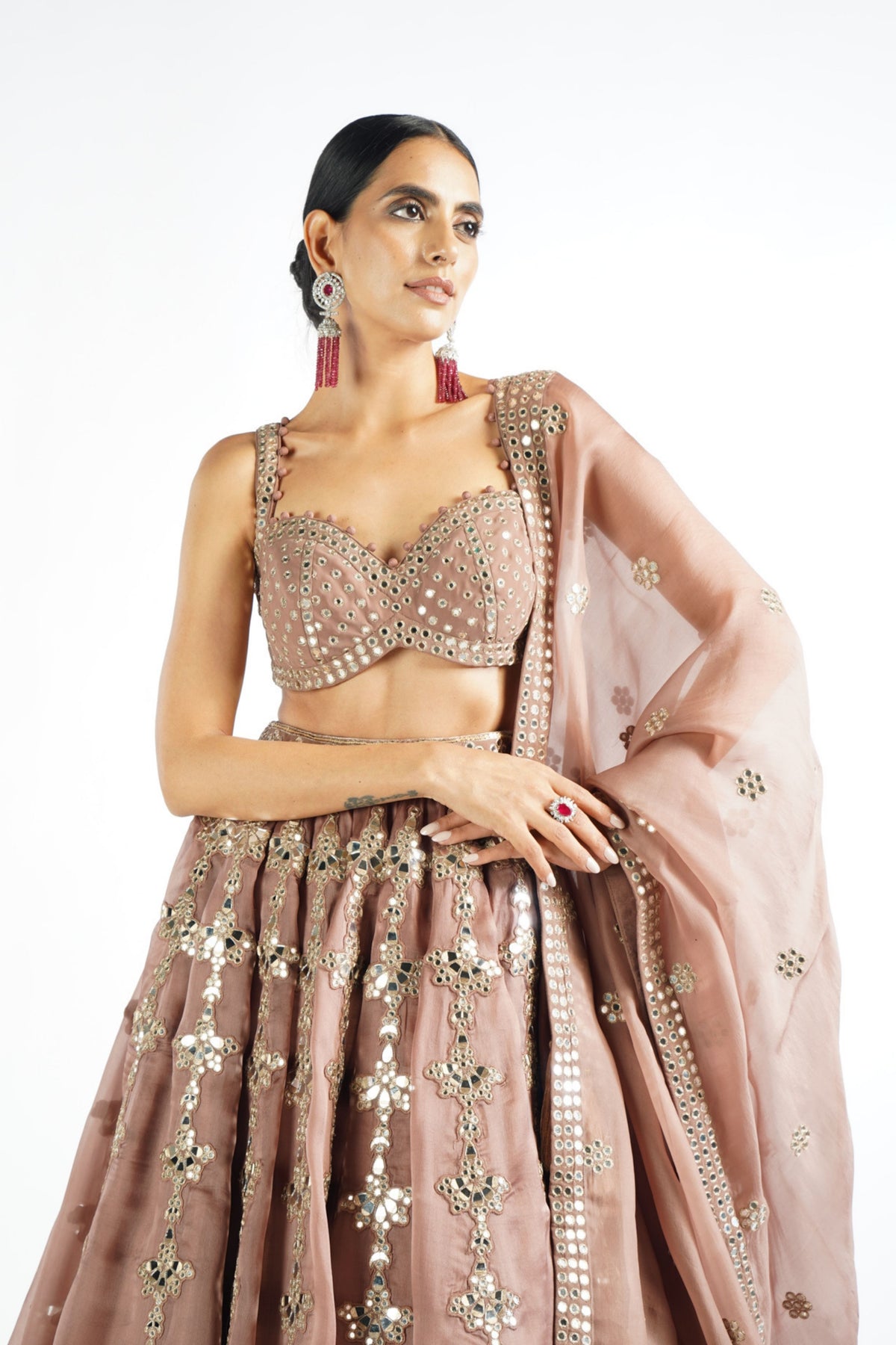 Deep Beige Chandelier Drop Lehenga Set