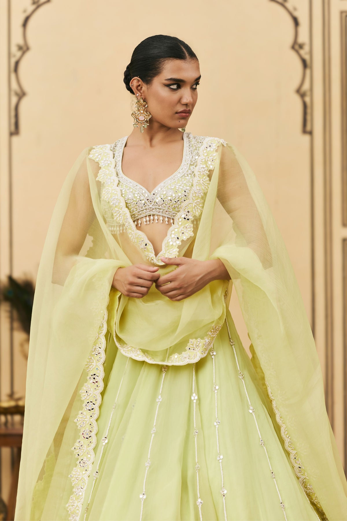 Pudina Lehenga Set