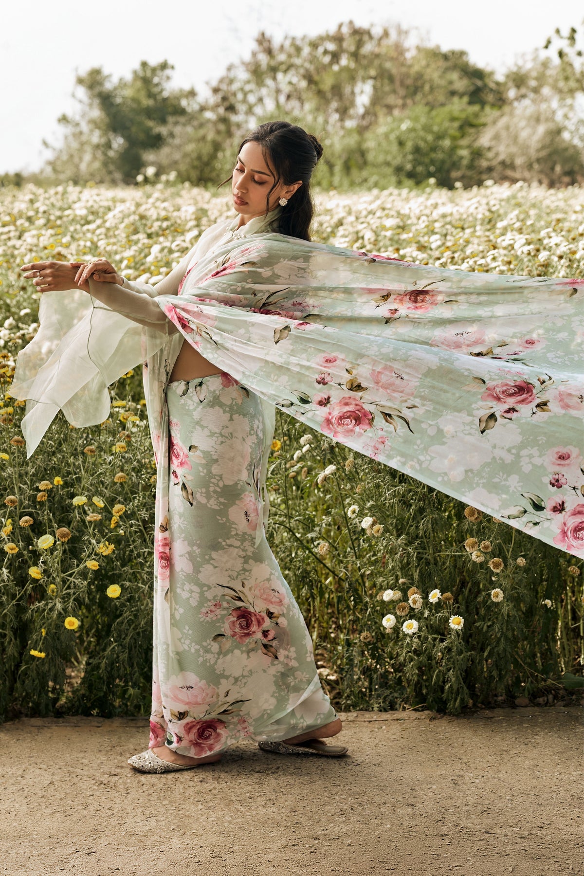 Veronica Mist Green Chiffon Saree