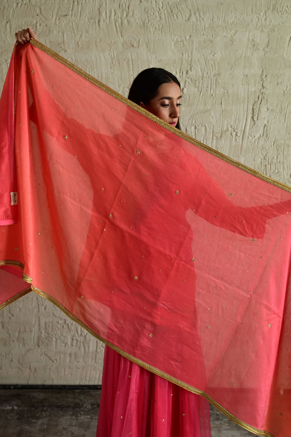 Pink Chanderi Shaded Dupatta
