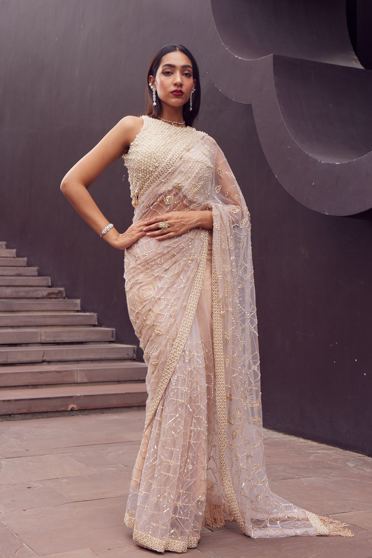 Beige Net Embroidered Saree