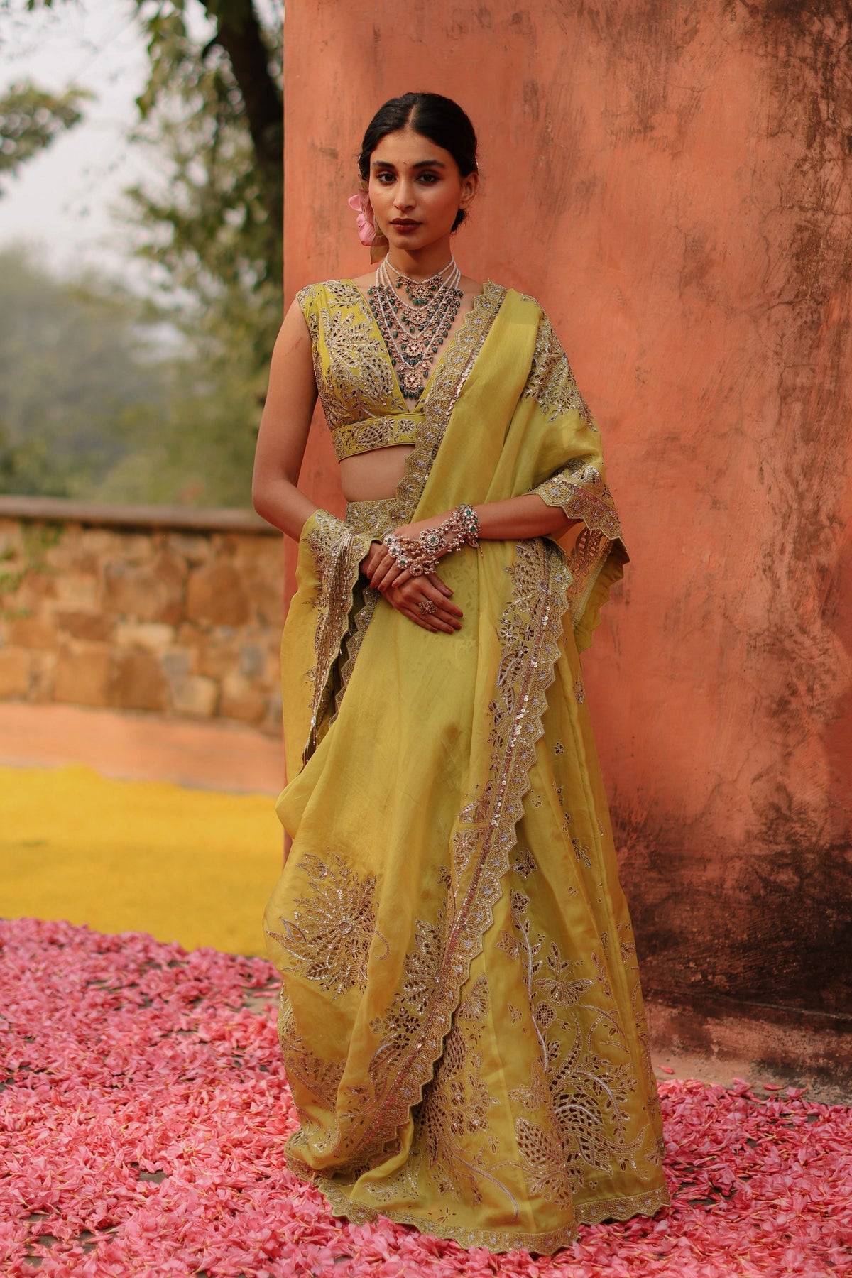 Mustard Panel Skirt Saree