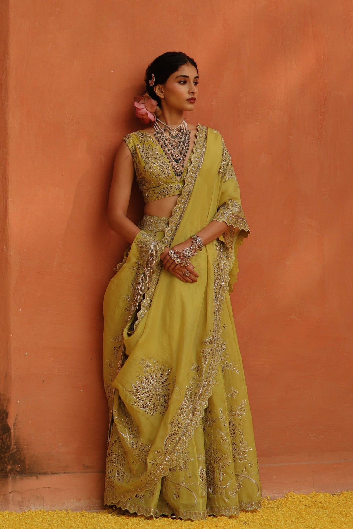 Mustard Panel Skirt Saree