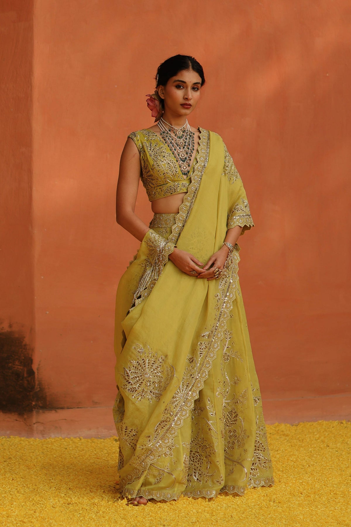 Mustard Panel Skirt Saree