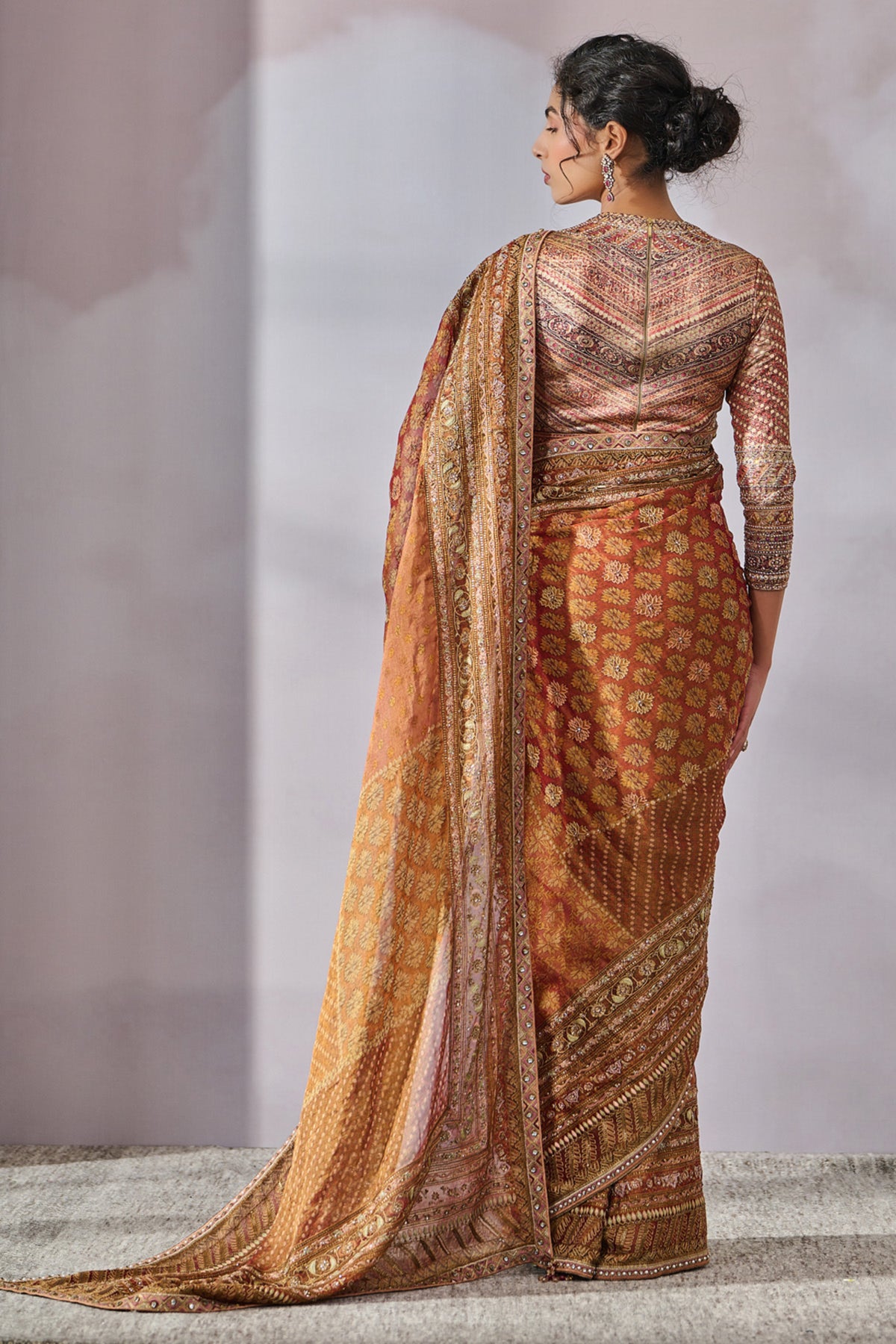 Printed And Hand Embroidered Saree