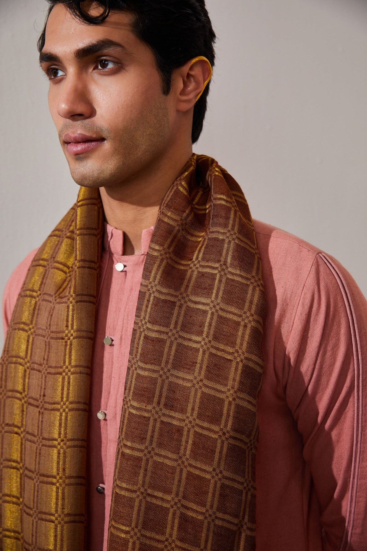 Zari Reversible Fawn Brown Stole