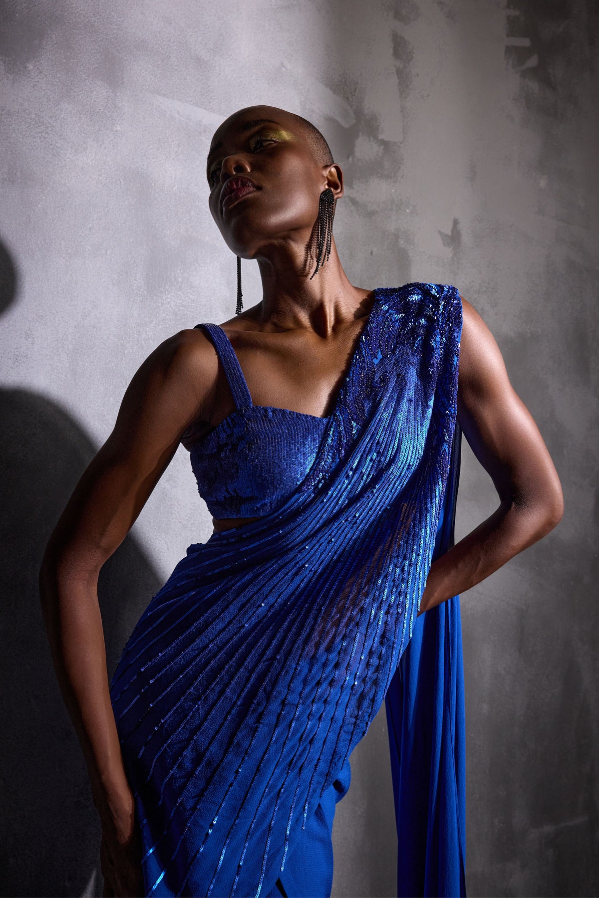 Stellar Flora Draped Saree