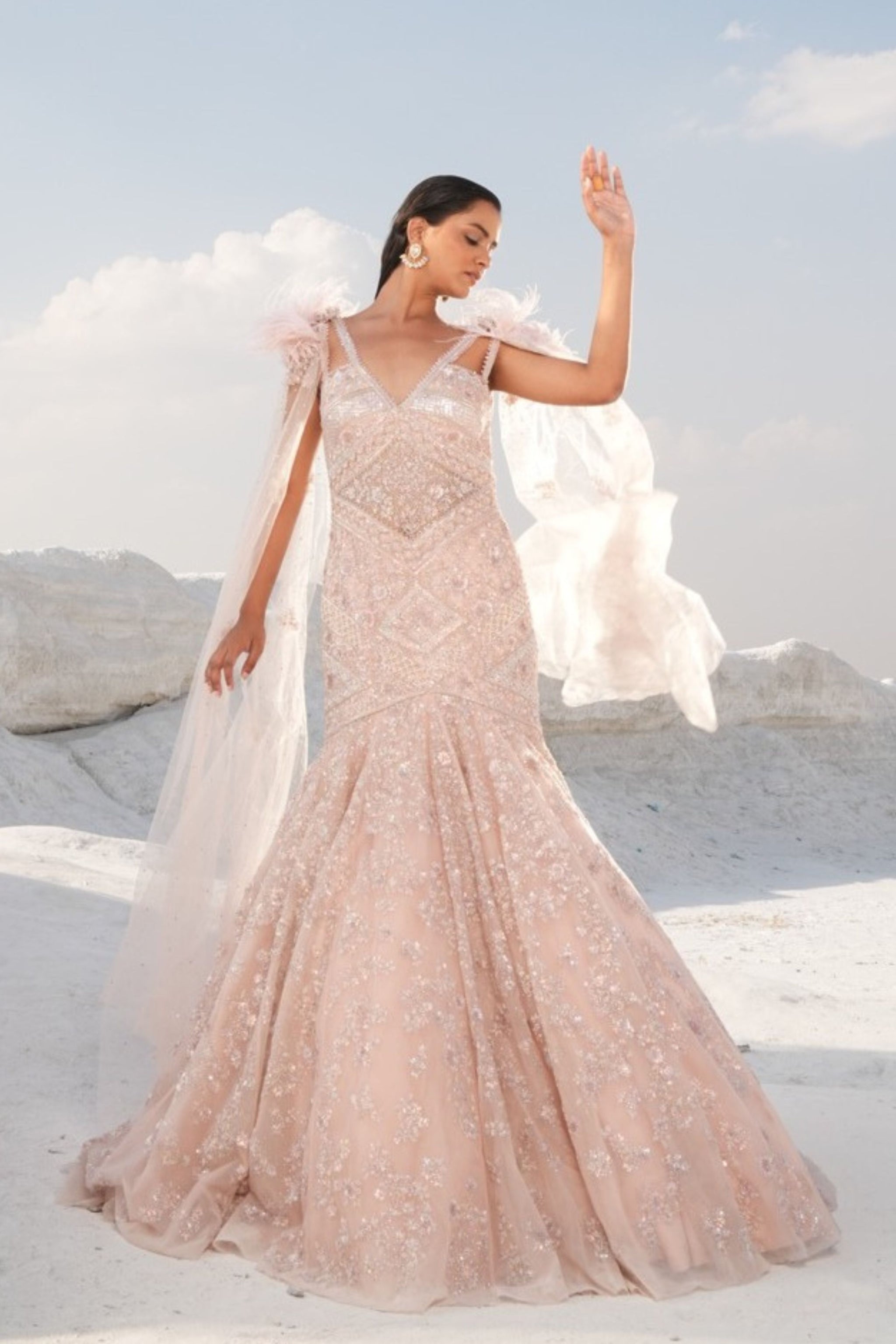 Ball Gown Fish Cut Wedding Gown Peach Net 3D Feather Embroidered Fish-Cut Mermaid Wedding Gown Ball Gown Fish Cut Wedding Gown Peach Net 3D Feather Embroidered Fish-Cut Mermaid Wedding Gown
