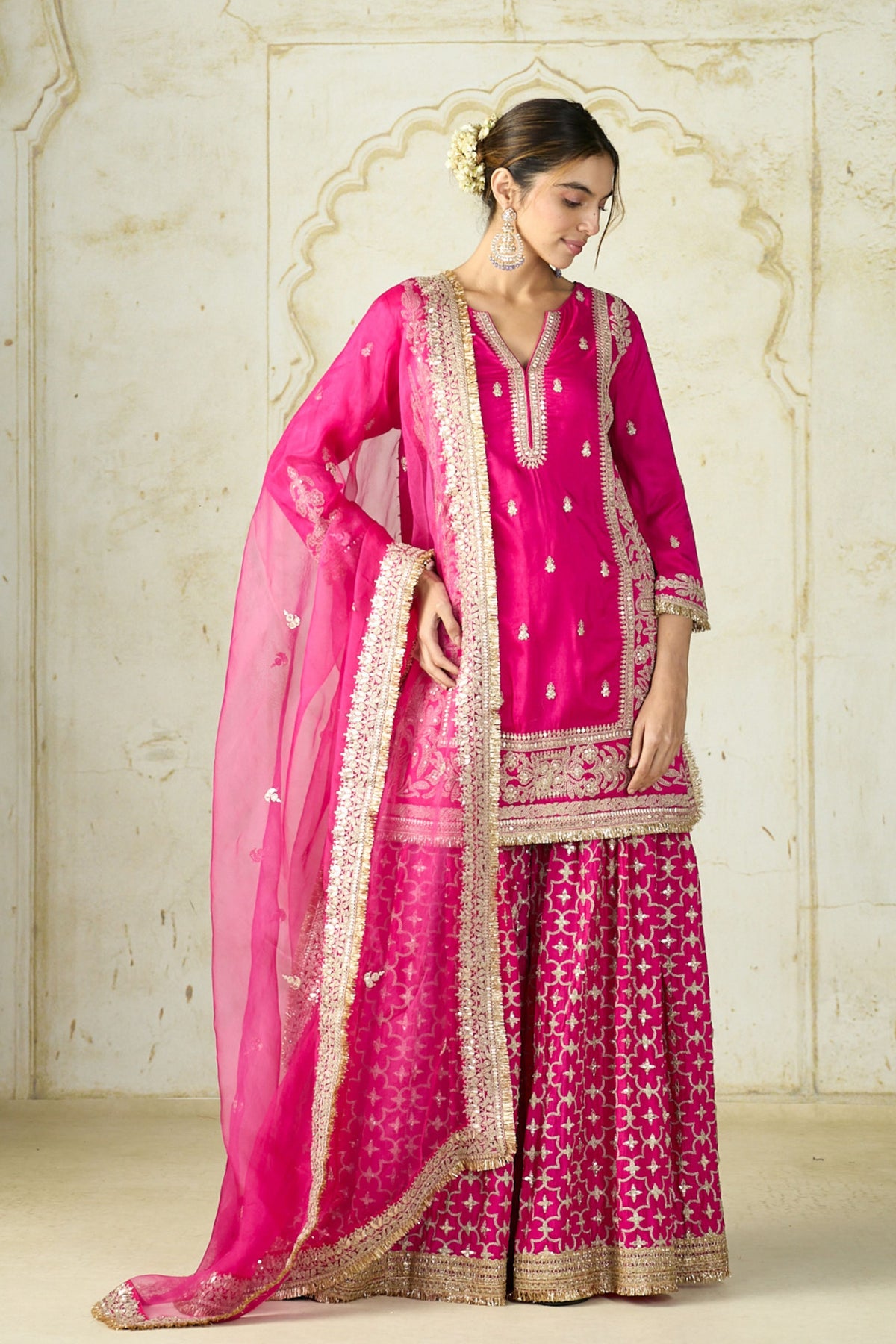 Rani Mumtaz Sharara Set