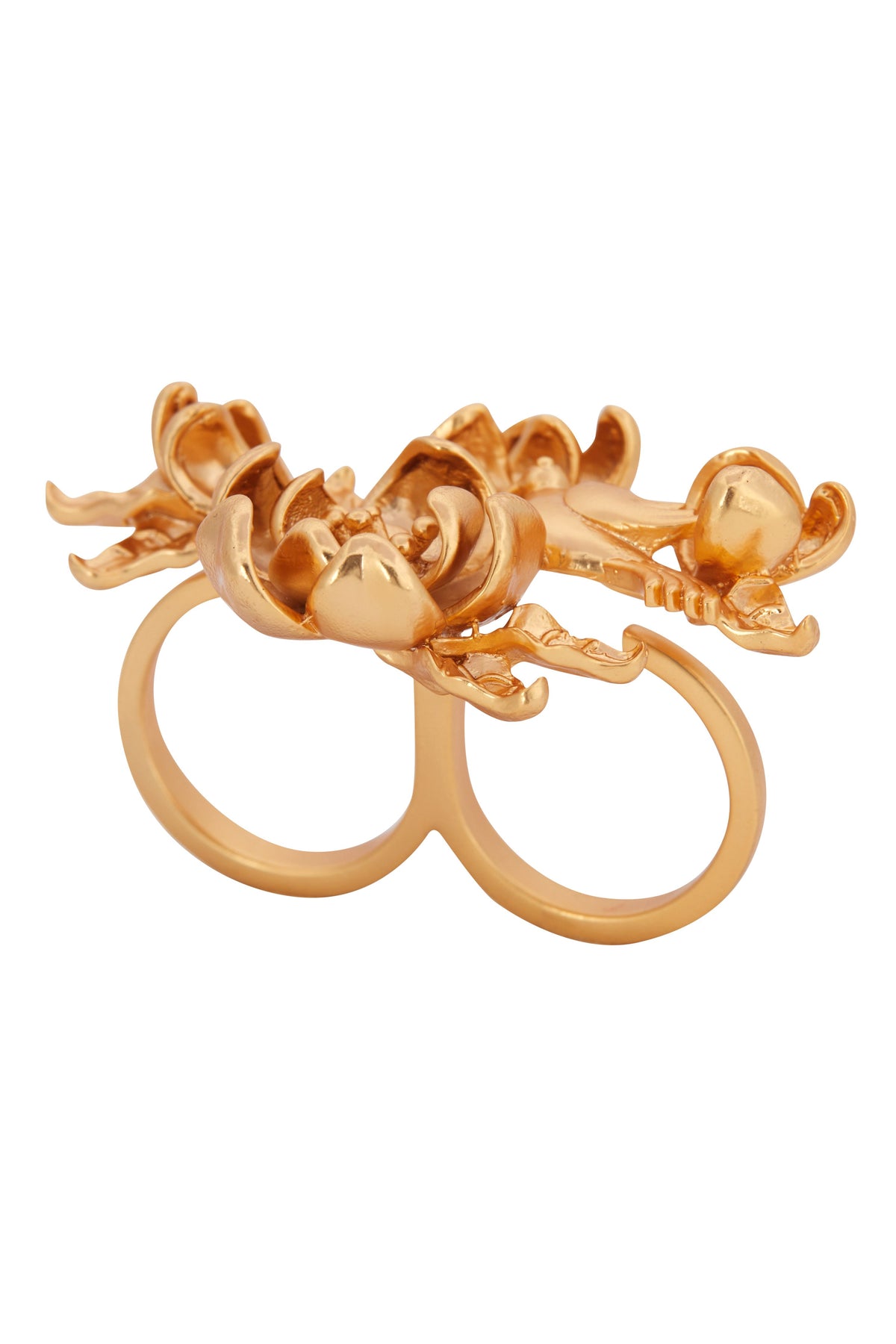Matte gold genesis ring