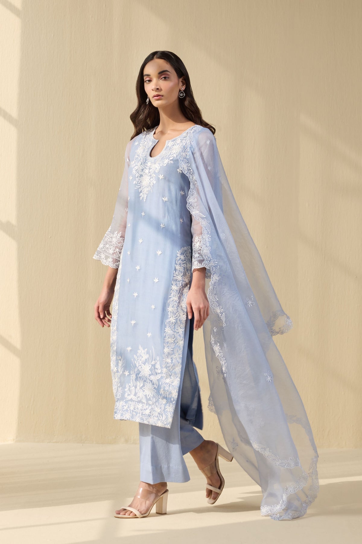 Powder blue  Embroidered Organza Suit