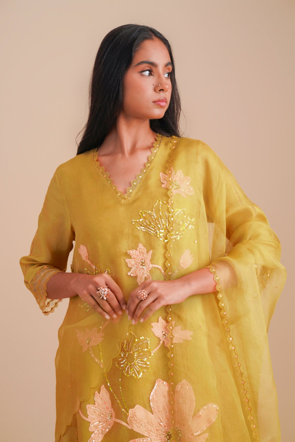 Daffodil Organza Dupatta