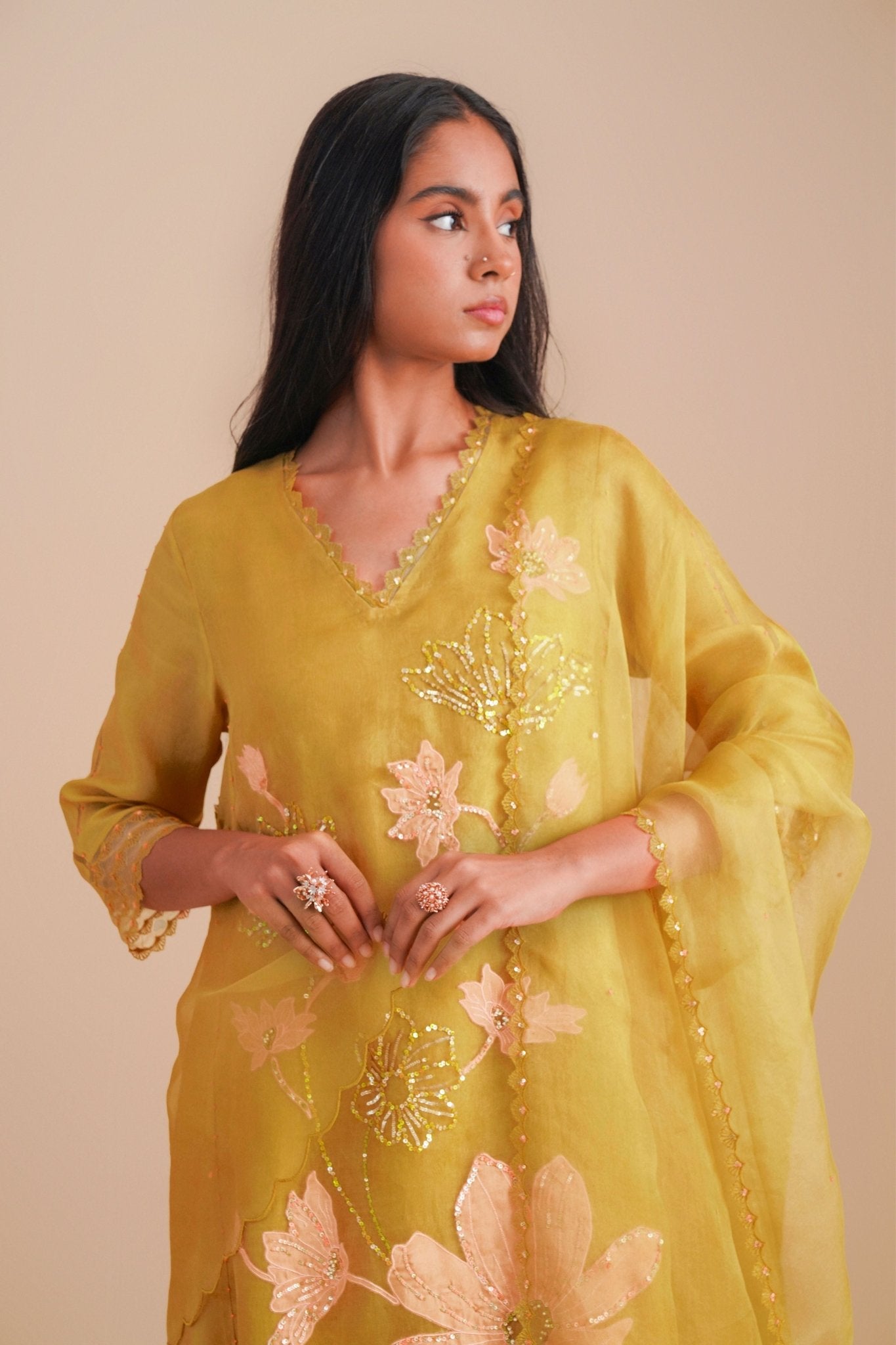 Daffodil Organza Dupatta - One Not Two - Elahe