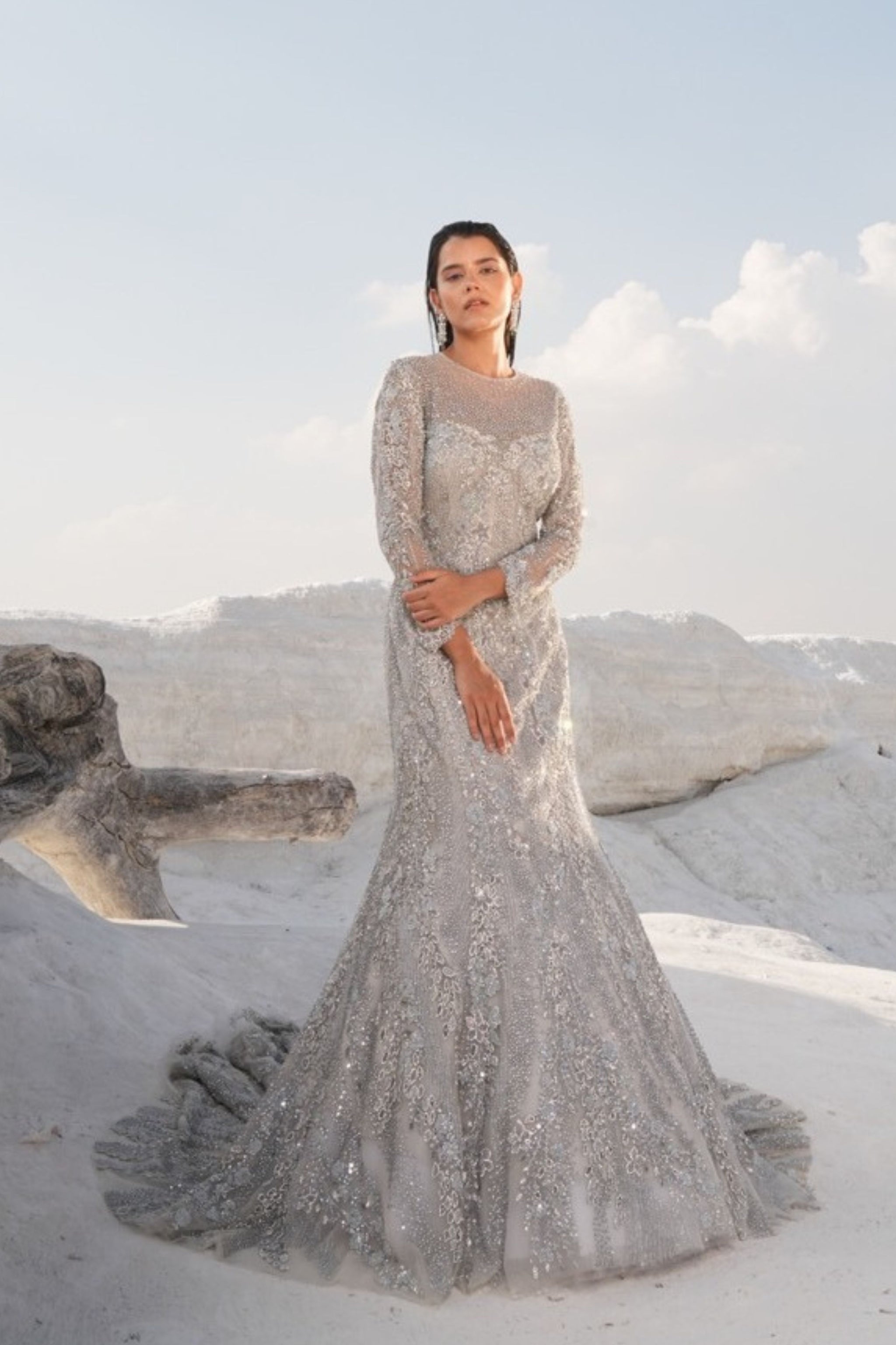 House of Sikka - Silver Fish Cut Embellished Gown S House of Sikka - Silver Fish Cut Embellished Gown S