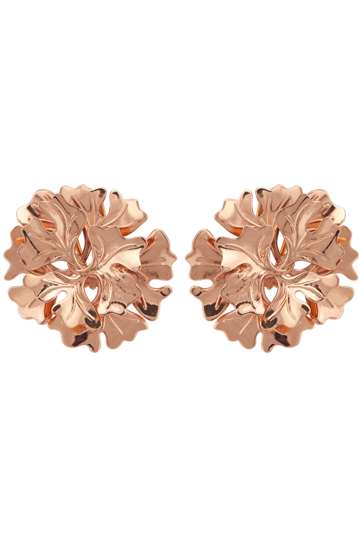 Rose gold bellis earrings