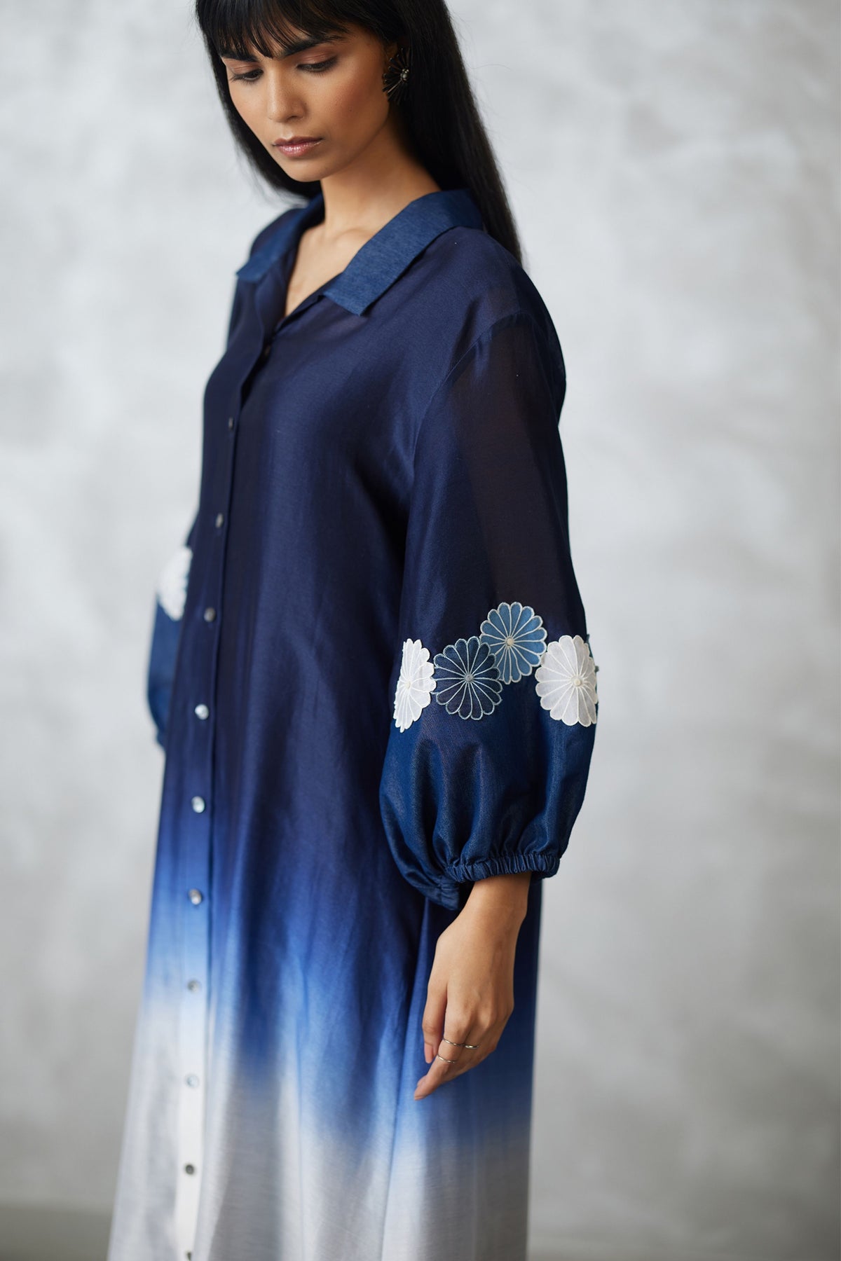 Applique Ombre Bishop Dress