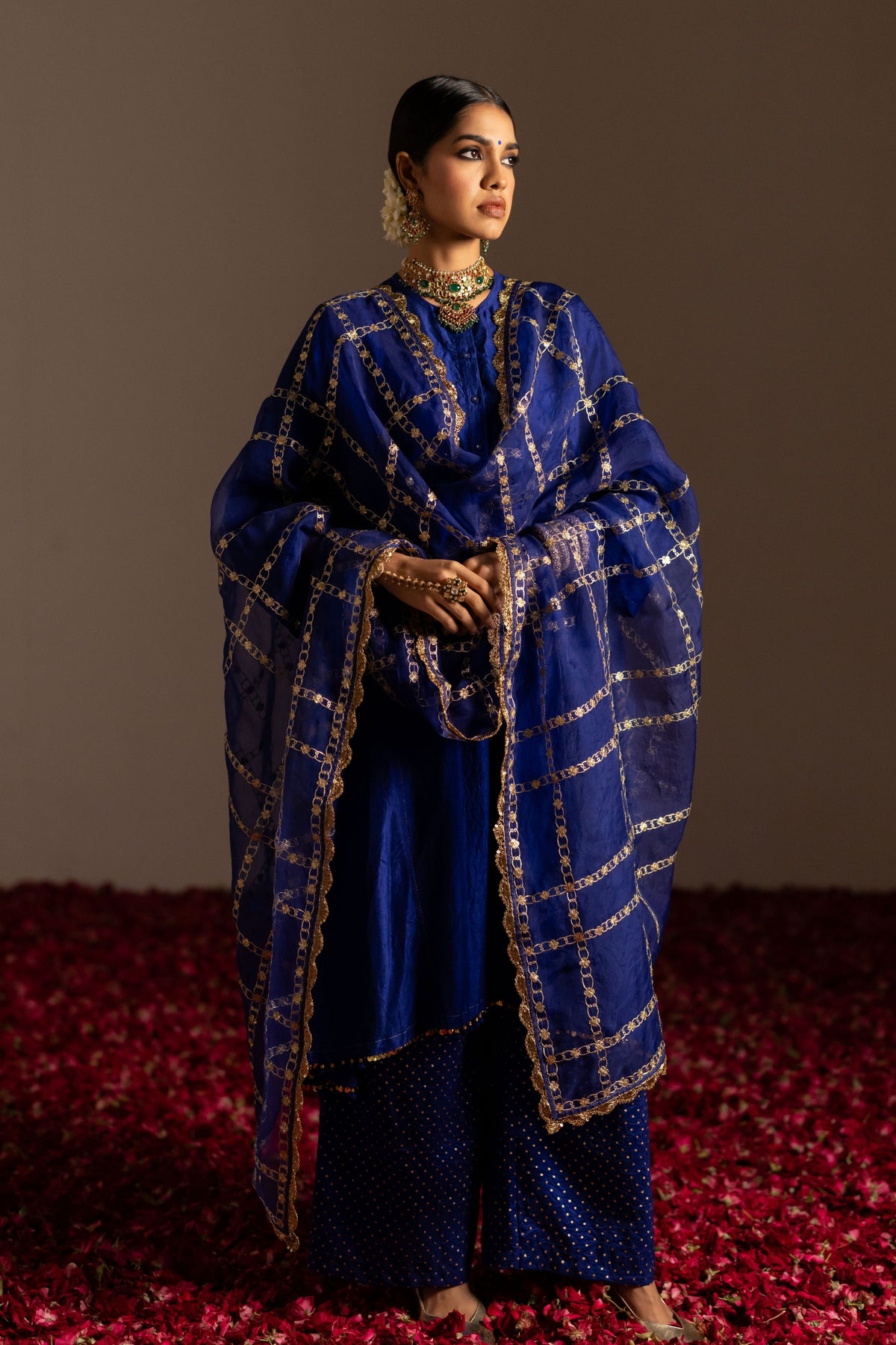 Embroidered Checks Dupatta