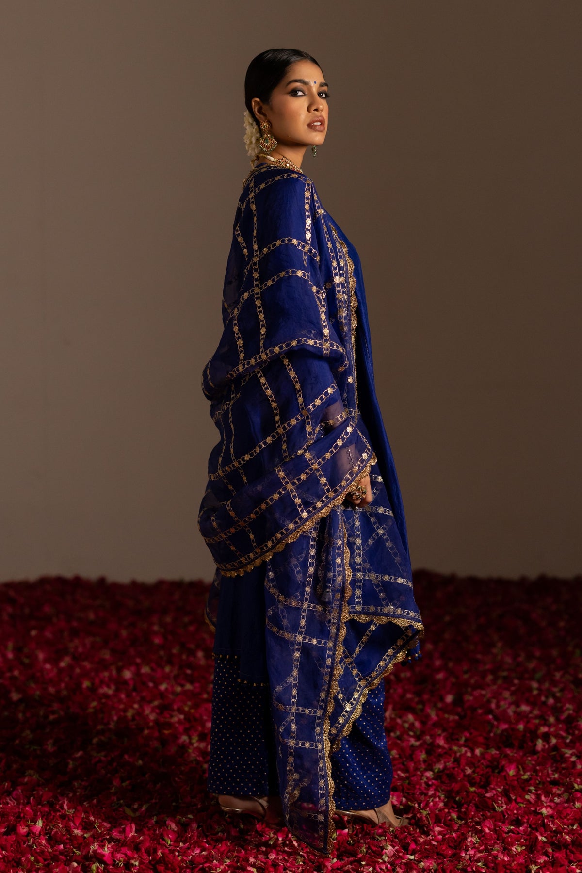 Embroidered Checks Dupatta