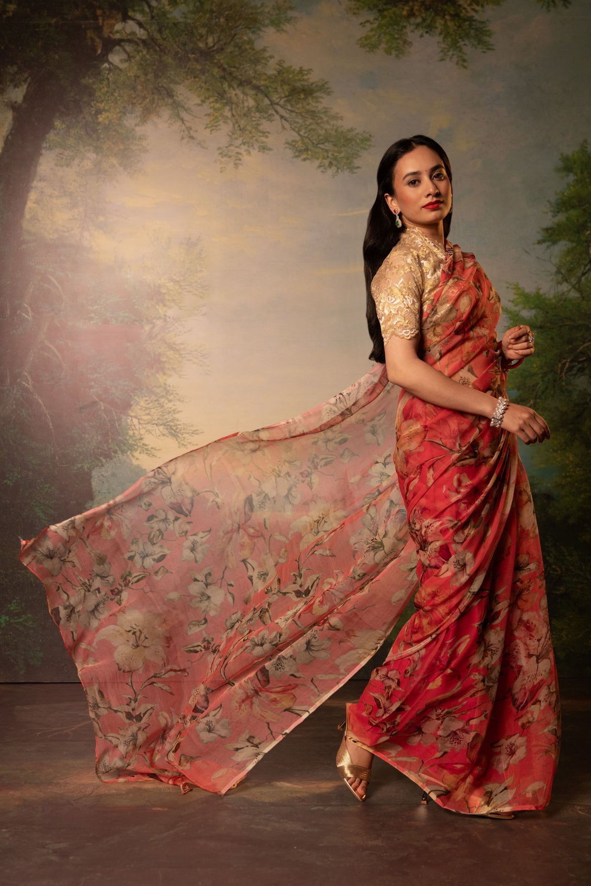 Padma Printed French Chiffon Saree