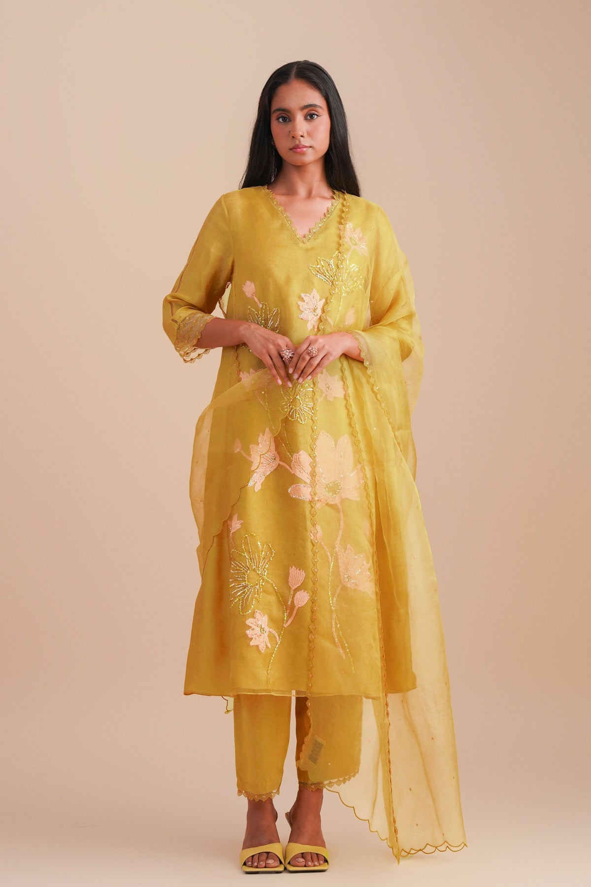 Daffodil Organza Dupatta