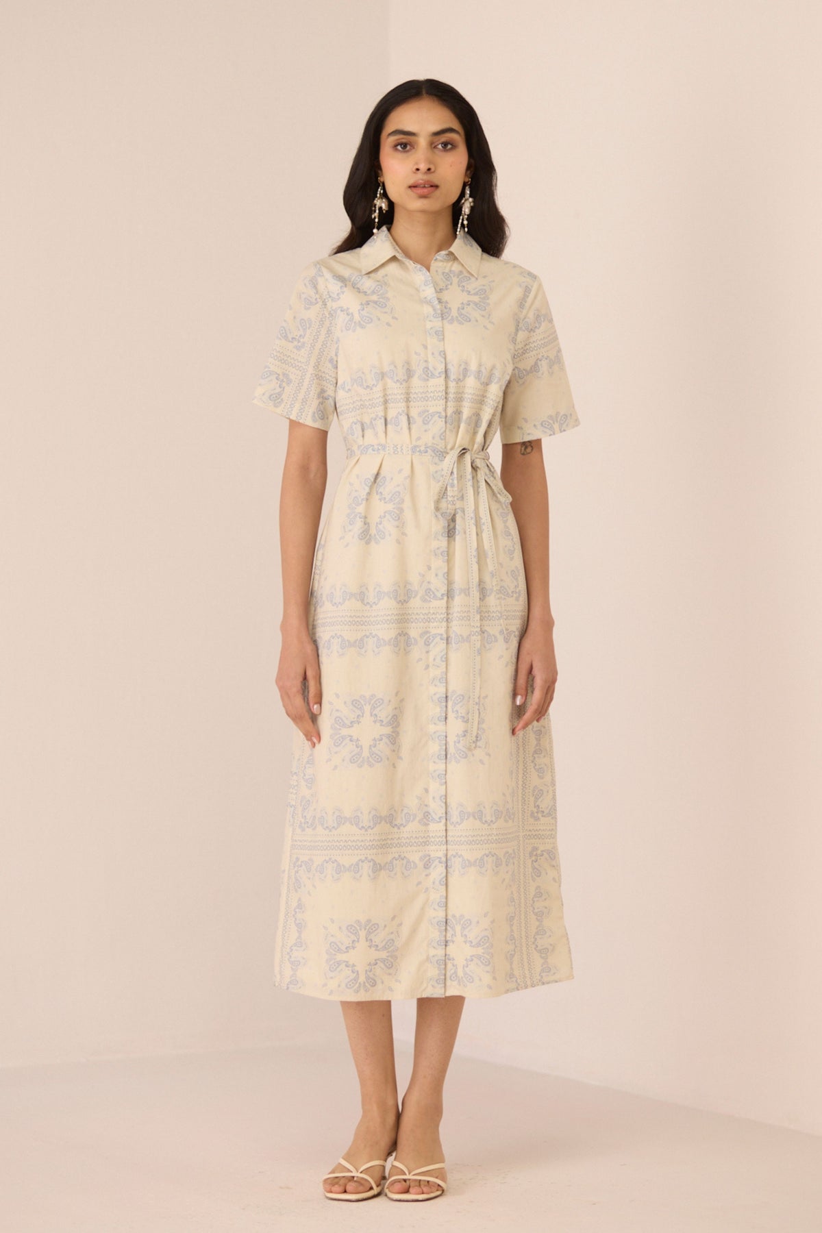 Aster Shirt Dress